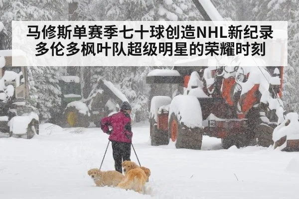马修斯单赛季七十球创造NHL新纪录 多伦多枫叶队超级明星的荣耀时刻