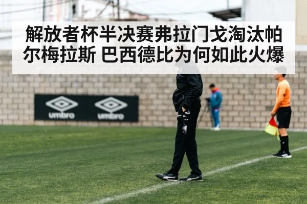 解放者杯半决赛弗拉门戈淘汰帕尔梅拉斯 巴西德比为何如此火爆