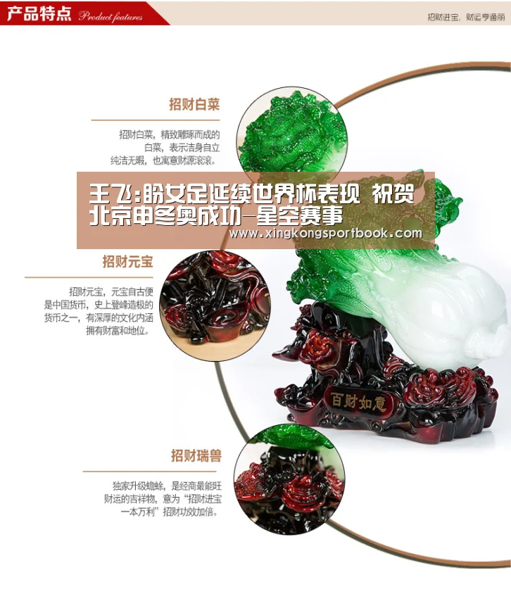 王飞:盼女足延续世界杯表现 祝贺北京申冬奥成功-星空赛事