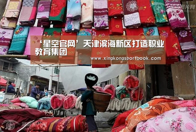 ‘星空官网’天津滨海新区打造职业教育集团(图4) 星空赛事